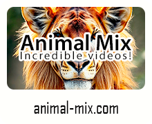 www.animal-mix.com