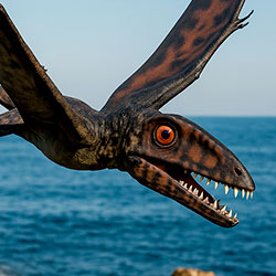 Dimorphodon