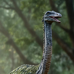 Gallimimus