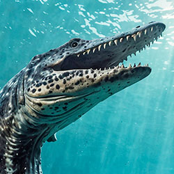 Mosasaurus